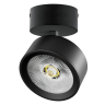 Светильник накладной LIGHTSTAR ALTA PRO A5637SO