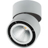 Светильник накладной LIGHTSTAR FORTE MURO 213839